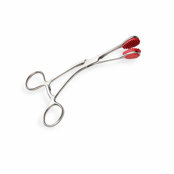 6 Young Tongue Forceps for oral surgery