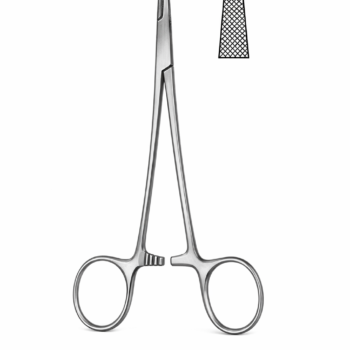 Baumgartner Needle Holder 5.00″