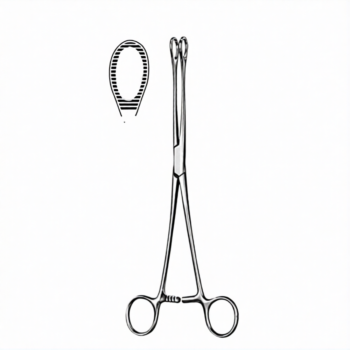 Foerster Sponge Forceps Serrated Straight 9.50″