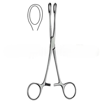 Foerster Sponge Forceps Smooth Straight 7.00″