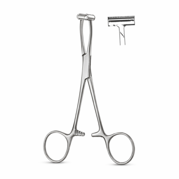 Pratt Smith “T” Forcep 6.00″