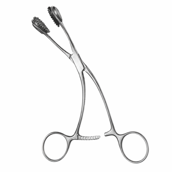 Young Tongue Seizing Forceps W/Rubber 6.25″